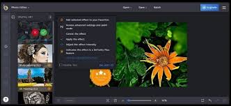 Day of the dead stuff plus punkins, gourds. 11 Best Free Picmonkey Alternative Woolthemes