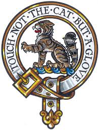 Image result for Macphersonia