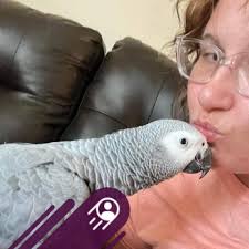 My niece was drugged (date rape drug) and beaten all to hell and left for  dead in the woods in Bradenton Florida by the airport in the woods**. Cops  are looking into