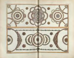 Check spelling or type a new query. Shells And Other Marine Life From Albertus Seba S Cabinet Of Natural Curiosities 1734 The Public Domain Review