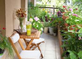 Check spelling or type a new query. 10 Low Maintenance Plants For A Picturesque Balcony
