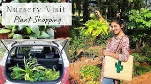Ok, now that we have a better understanding of the types of flowers we should pick and choose, let's talk about plant however, one crucial detail is that a nursery usually charges more than retailers, but, you also get what you pay for in plants and flowers. Come Plant Shopping To A Nursery With Me Garden Up Youtube