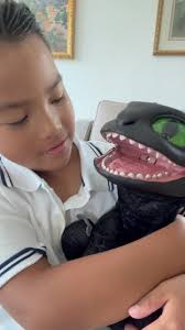 🥊🐉 When boxing practice turned into a How to Train Your Dragon surprise!,  My son Seth was in full beast mode throwing punches… until Toothless showed  up!, This Toothless Puppetronic by Real FX is so ...
