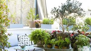 14 suelos ideales para conseguir un estilo nórdico a tu casa. Estos Son Los Beneficios De Tener Plantas En Casa Mas Alla De La Decoracion Telva Com