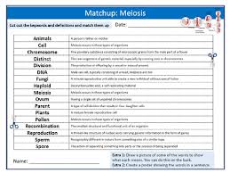 Maybe you would like to learn more about one of these? Meiosis Definition Matchup Keywords Settler Starter Cover Lesson Science Biology Cell Division Teaching Resources
