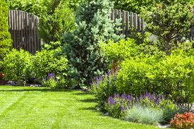 Calendrier Du Jardinage Que Faire Au Jardin Mois Par Mois Jardins Jardinage Arbres Et Arbustes