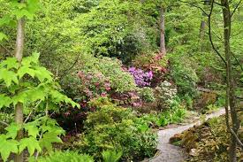 Neben seiner primären aufgabe, der forschung und lehre als experimentierfeld zur verfügung zu stehen, dient er gleichzeitig auch der öffentlichkeit als garten zum erholen, zum schauen und zum staunen. Botanischer Garten Der Universitat Tubingen