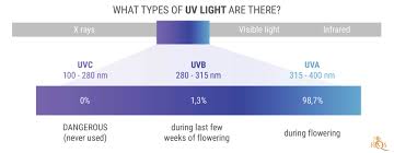 The visible light spectrum emits light in red, orange, yellow, green, blue, indigo and violet colors. Cannabis Cultivation The Light Spectrum And Ways To Raise Thc Levels Rqs Blog