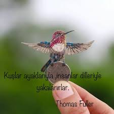 Seda Kus Adli Kullanicinin Hayat Panosundaki Pin Guzel Soz Ozlu Sozler Resimler