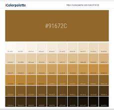 The same shade may have different names on different color lists, and sometimes the one name (such as beige or puce) can refer to several very different colors. Aesthetic Brown Color Codes Novocom Top