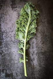Chou Kale Nos Idees Recettes