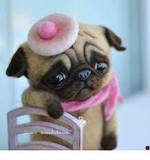 Discover More About Baby Pugs For Adoption Simply Click Here To Find Out More Viewing The Website Is Worth Your Time Cute Baby Animals Plush Dog Cute Pugs