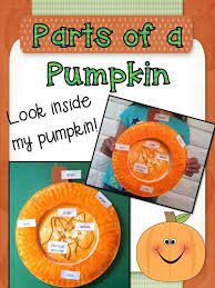 Alphabet worksheets alphabet activities kindergarten worksheets worksheets for kids preschool activities seasons worksheets summer worksheets printable. Pumpkin Investigation Unit All About Pumpkins Life Cycle Pumpkin Life Cycle Fall Kindergarten Pumpkin Lessons