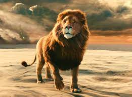 The lion, the witch, and the. Narnia Aslan Wallpapers Narnia Lion Aslan Narnia Narnia