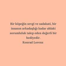 Gercekten Cok Degerli Bir Hediye Bir Zoolog Olan Konrad Lorenz Modern Etolojinin Hayvan Davranislar In 2020 Cards Against Humanity Instagram Movie Posters