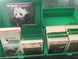 «here are some giraffes i drew and painted when i was 7. Wildlife Treasury Before Internet We Could Subscribe To Wildlife Treasury And Get A Pack Of Animal Cards With Pictures And Information On Animals For Our Collection Nostalgia