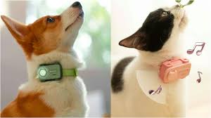 寵物專用「智能手機」面世跳3下自動接通主人還能共享視角