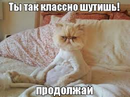 Ты так классно шутишь! продолжай, Мем я почти засмеялся