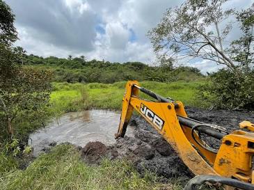 Ação ambiental preserva recursos hídricos e recupera vegetação nativa em Cruz das Almas, gerada com IA