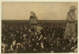 1,071 Cotton pickers Images: PICRYL
