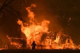 How A Climate Change Study From 12 Years Ago Warned Of This Horror Bushfire Season 2020 Avustralya Iklim Degisikligi Ormanlar