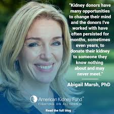 American Kidney Fund