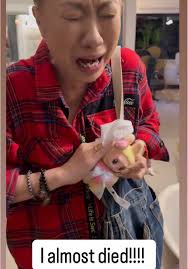 Dog Adventures: Golden Retrievers in Singapore