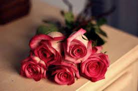 Choose from our handpicked collection of free, hd rose pictures and images. Rose Wallpapers Lovesove Com C 2021