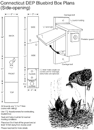 deep bluebird fact sheet bluebird house plans bird house bluebird house