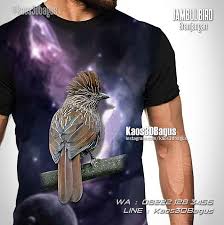 Sebaiknya anda cek beberapa koleksi foto burung branjangan berikut ini. Kaos Burung Branjangan Kaos3d Kicau Mania Jambul Bird Kaos3dbagus
