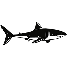 Shark Shark Silhouette Shark Silhouette Clip Art