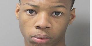 WM man accused of vehicle burglary, theft