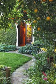 Craving Fruit Trees English Garden Design Tree Garden Design Patio Garden