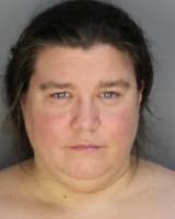 The Schodack SCENE: Blotter