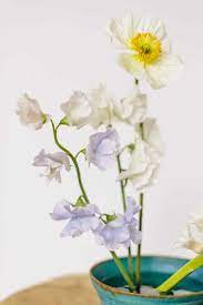 This product is great for ikebana flower arrangement 11 dia x 5 1/2 h * 4 weeks lead time. 6 Simple Beautiful Ikebana Flower Arrangements Hello Nest