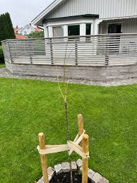 Image result for site:byggahus.se Plantagen