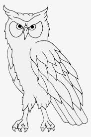 Burung yang dikenal di luar negeri dengan sebutan barn owl ini memiliki tinggi badan sekitar. 30 Contoh Gambar Sketsa Burung Hantu Terbaik Koleksi Gambar Sketsa Terlengkap