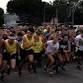 Millersport Sweet Corn Festival 5k