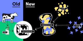 Check spelling or type a new query. How Now No Cow Animal Free Dairy Startup Perfectday Raises 24 7m