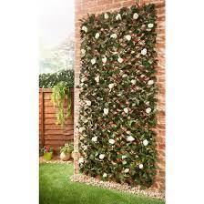 Expanding Floral Ivy Leaf Trellis 2 X 1m Decorative Fencing B M Decorative Garden Fencing Garden Wall Trellis