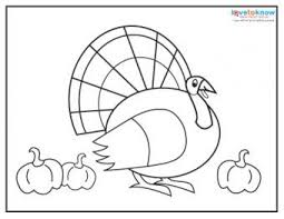 You can either print on regular printer paper, or for even better quality, you can use white cardstock. Free Thanksgiving Coloring Pages Lovetoknow