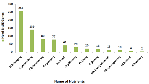 Macronutrients are fats, carbohydrates, proteins, and water. Distribution Of Macronutrient And Micronutrient Responsive Genes Download Scientific Diagram