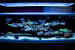Live Rock Aquascape Designs