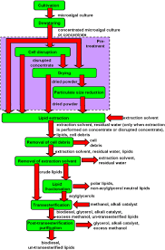 Process Flow Diagram Showing The Downstream Processing Steps