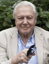 Sir David Attenborough's documentaries still being made