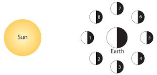 This Months Moon Phases And Calculator For Any Day Since