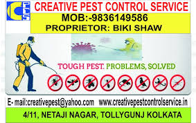To carry out commercial pest control. Creative Pest Control In Kolkata Pest Control In Kolkata