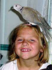 We Love Doves We Love Doves Snipped and Created for you by Beverly, 2008  Snipped and Created for you by Beverly, 2008