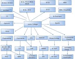 education options flowchart for indian student