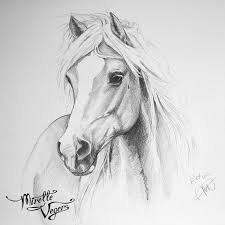 Op zoek naar een leuke kleurplaat van een paard? Alex Haflinger Horse Portrait Graphite On Paper Portrait On Commission By Equine Artist Mirelle Vegers Paard Tekeningen Dieren Tekenen Huisdier Kunst